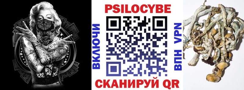 нарко площадка телеграм  Канск  Псилоцибиновые грибы Cubensis 